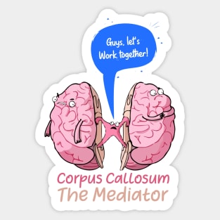 Copy of Corpus Callosum The Mediator of the two lobes of the brain Sticker